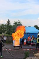 IMG_8530 (Medium)_ergebnis_ergebnis